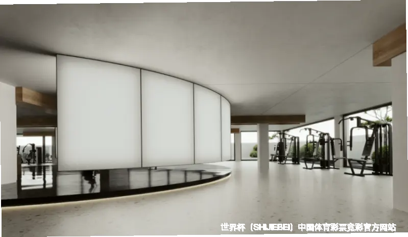我们的故事：从球迷到守护者