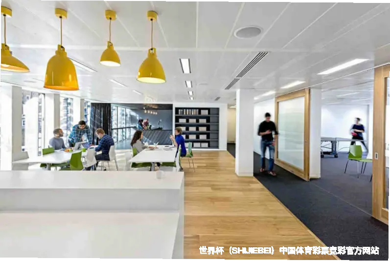 核心团队：专业与热爱的交融